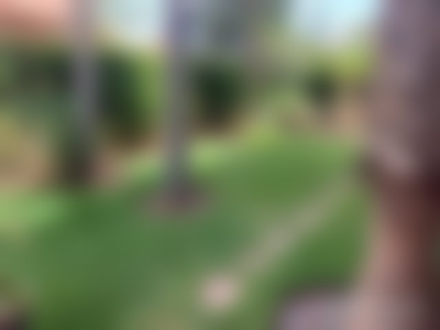 Villa 4 chambres avec piscine, Palmeraie, Marrakech — 4