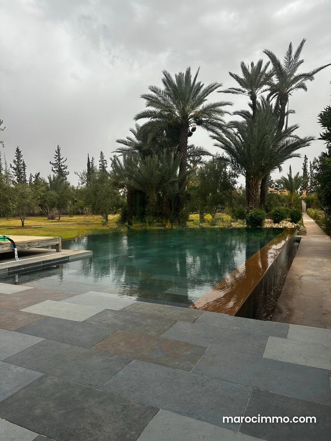فيلا فاخرة وسط بستان زيتون بطريق فاس في مراكش — مراكش