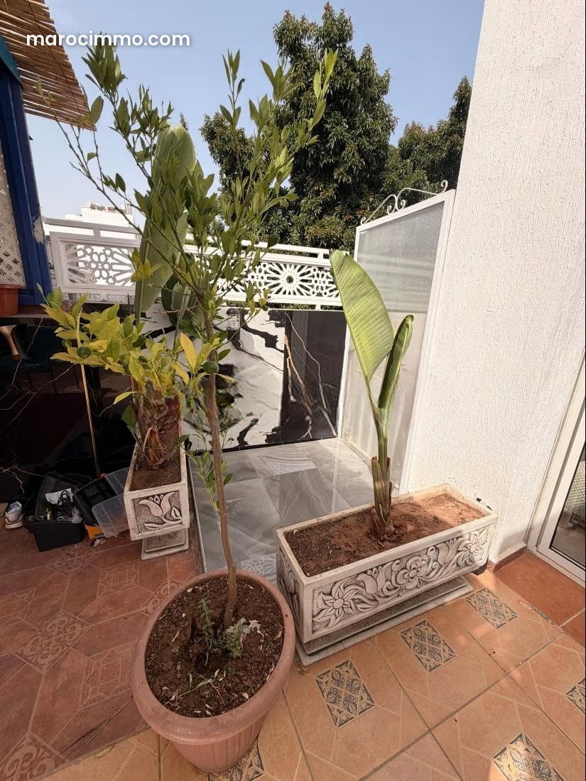 Appartement meublé avec jardin et terrasse, Hassan, Rabat — Rabat