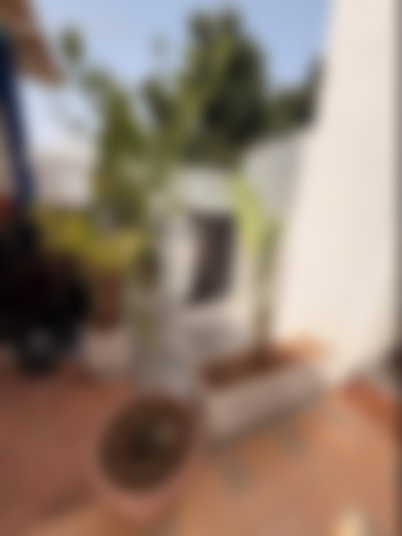 Appartement meublé avec jardin et terrasse, Hassan, Rabat