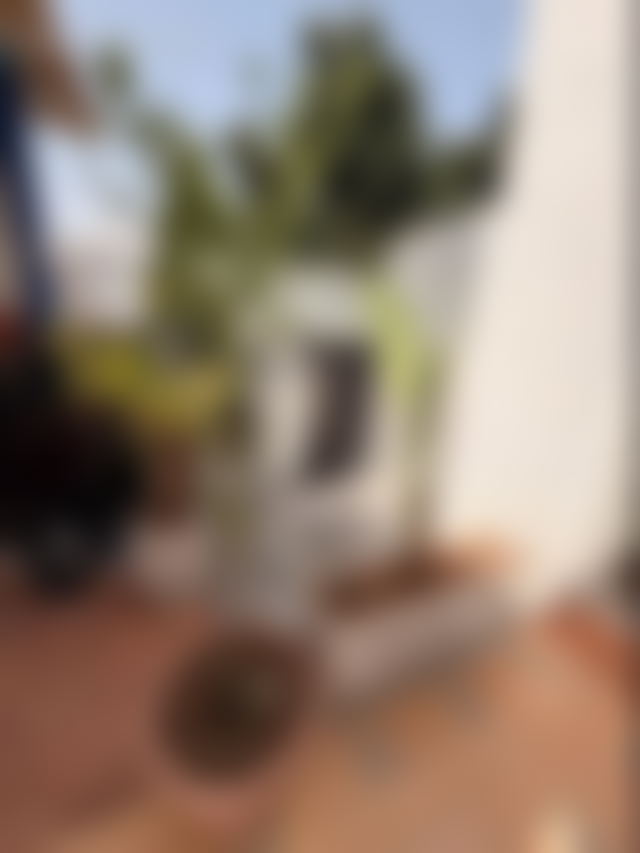 Appartement meublé avec jardin et terrasse, Hassan, Rabat — Rabat