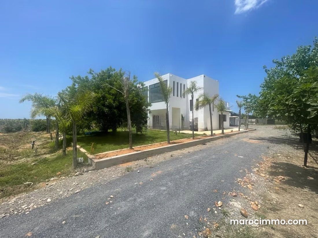 Ferme de 5,8 hectares à vendre à Souk Tlet El Gharb — Souk Tlet El Gharb
