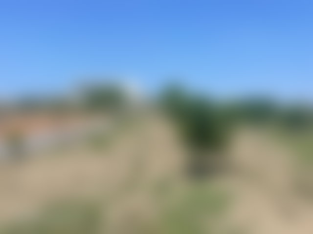 Ferme de 5,8 hectares à vendre à Souk Tlet El Gharb — 3