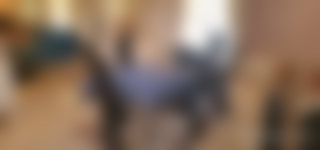 فيلا رحبة بحديقة ومسبح للبيع بطريق مراكش, الصويرة — 5