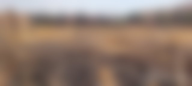 قطعة أرض فسيحة للبيع بطريق أكادير الصويرة مراكش — 3