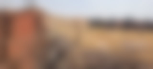 قطعة أرض فسيحة للبيع بطريق أكادير الصويرة مراكش — 2