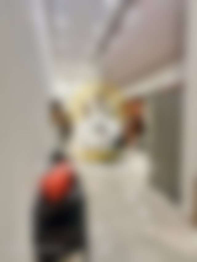 Furnished Apartment with Terrace in Casablanca’s Hospitals District — 5