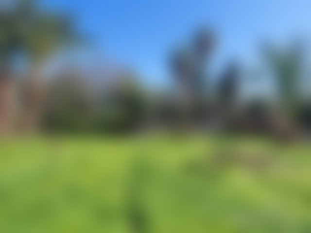 أرض فسيحة للبيع وسط المحمدية — 3