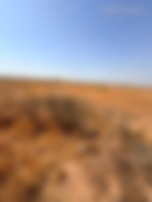 أرض هكتار مشمسة للبيع بطريق أَمَزمِّز مراكش — 2