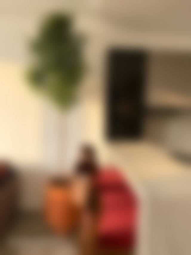 Studio avec terrasse à louer à Riviera Casablanca — 3